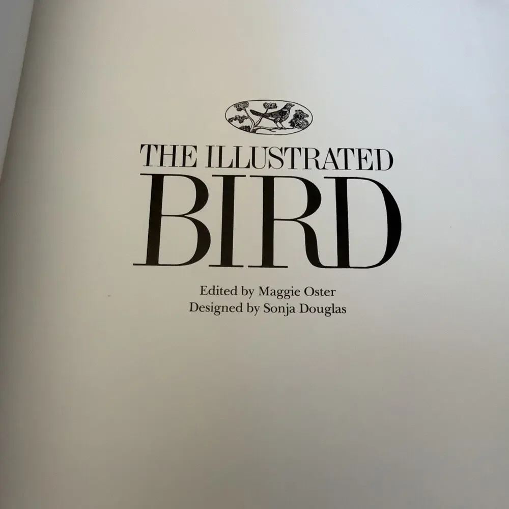 N/A illustrated bird